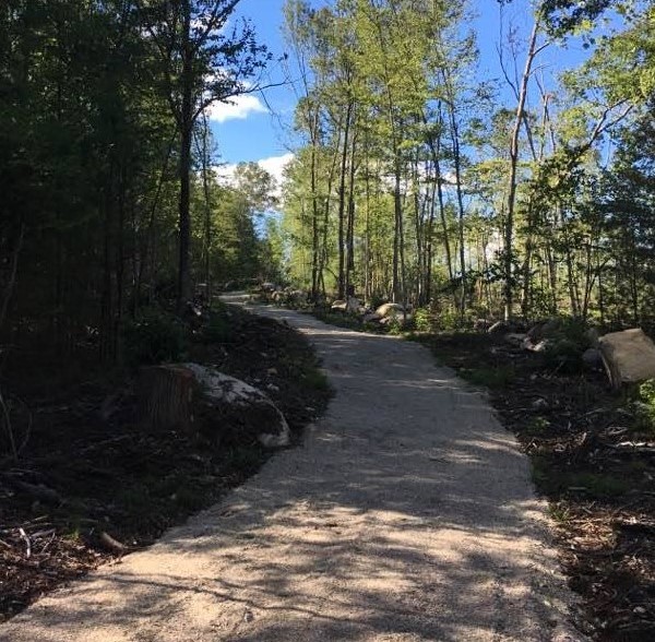 Cross Country Trail crop