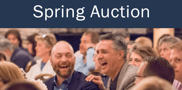 auction